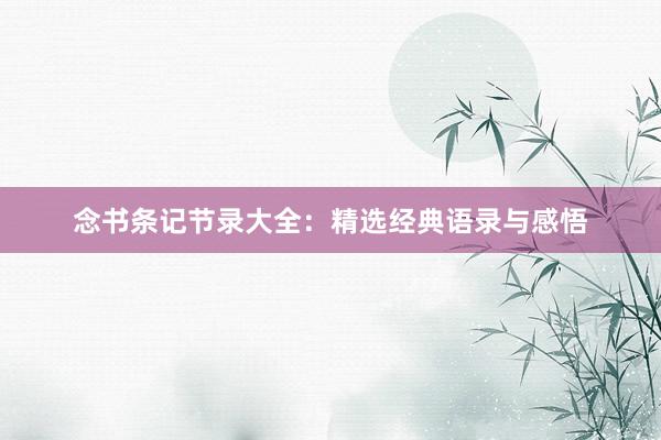 念书条记节录大全：精选经典语录与感悟
