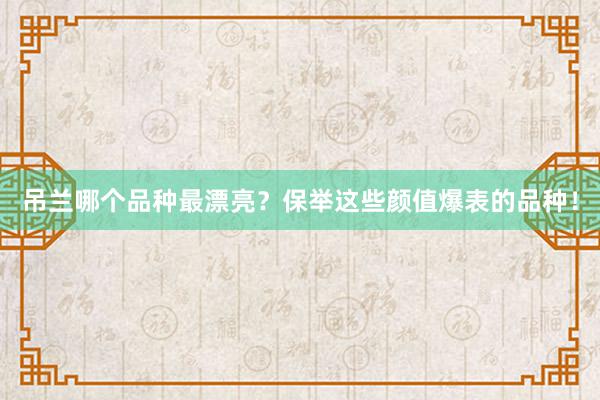 吊兰哪个品种最漂亮？保举这些颜值爆表的品种！